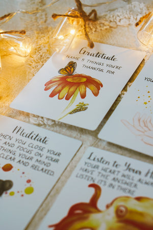 
                  
                    The Ultimate Bundle ☀ Positive Guidance Cards + Guided Affirmation Cards + Positive Guidance Oracle Cards + Kids Cards + You Are Magic Flip Book + Your Choice of Positive Guidance Journal + All 18 Meditations + 4 Pack Rainbow Card Holders
                  
                